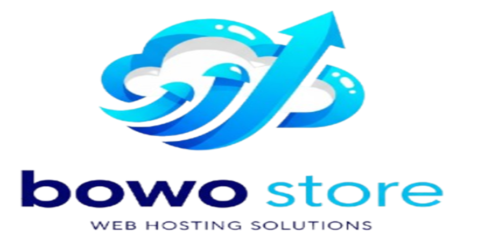 Bowo Store